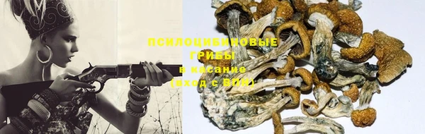 COCAINE Алексеевка