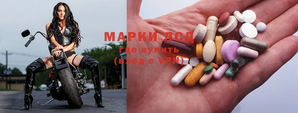 прущие грибы Алексин