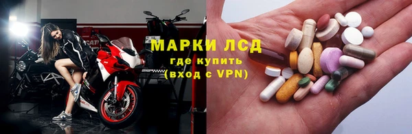 прущие грибы Алексин