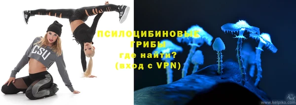 прущие грибы Алексин