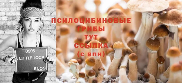 прущие грибы Алексин