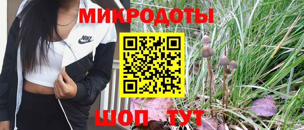 Псилоцибиновые грибы прущие грибы  Псилоцибиновые грибы GOLDEN TEACHER  Конаково  Вход с VPN 
